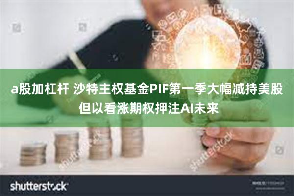 a股加杠杆 沙特主权基金PIF第一季大幅减持美股 但以看涨期权押注AI未来