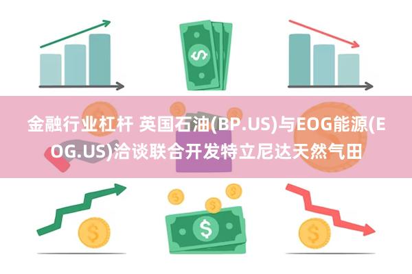 金融行业杠杆 英国石油(BP.US)与EOG能源(EOG.US)洽谈联合开发特立尼达天然气田