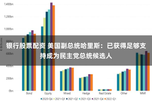 银行股票配资 美国副总统哈里斯：已获得足够支持成为民主党总统候选人