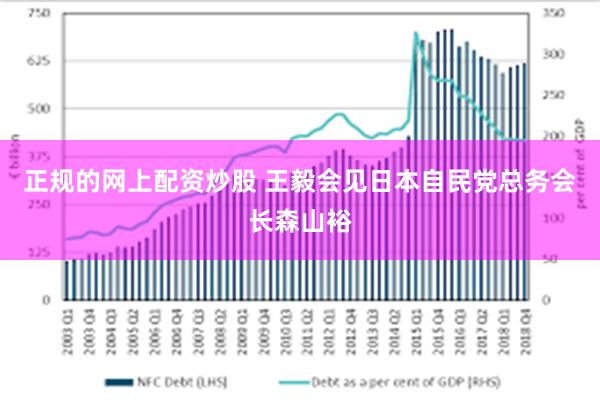 正规的网上配资炒股 王毅会见日本自民党总务会长森山裕