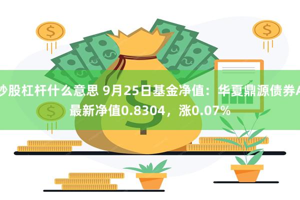 炒股杠杆什么意思 9月25日基金净值：华夏鼎源债券A最新净值0.8304，涨0.07%