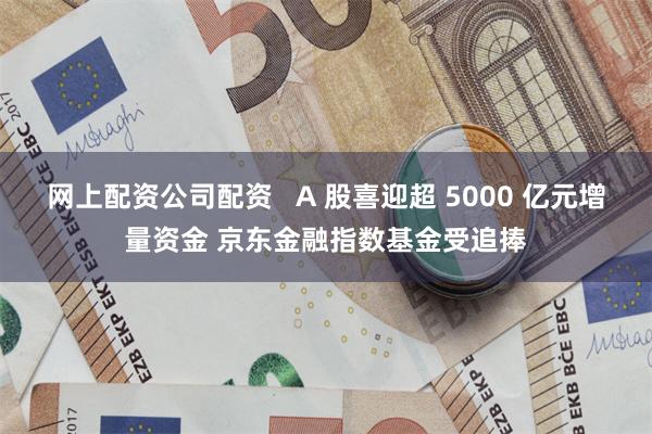 网上配资公司配资   A 股喜迎超 5000 亿元增量资金 京东金融指数基金受追捧