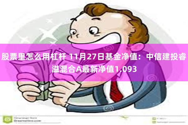 股票里怎么用杠杆 11月27日基金净值：中信建投睿溢混合A最新净值1.093