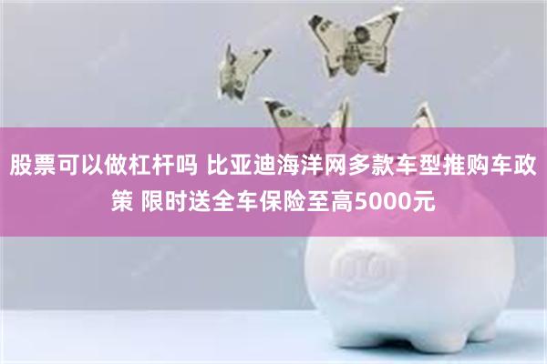 股票可以做杠杆吗 比亚迪海洋网多款车型推购车政策 限时送全车保险至高5000元