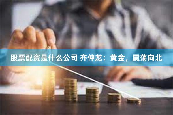 股票配资是什么公司 齐仲龙：黄金，震荡向北