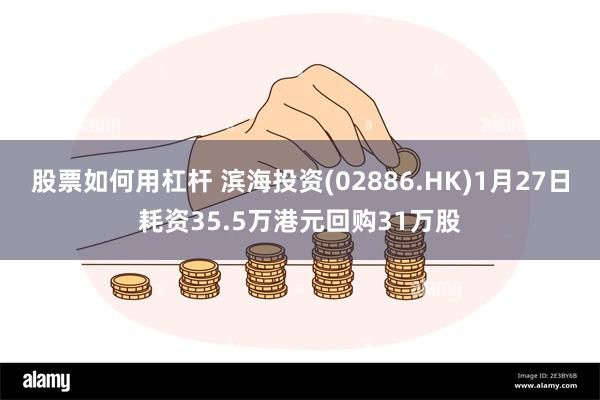 股票如何用杠杆 滨海投资(02886.HK)1月27日耗资35.5万港元回购31万股